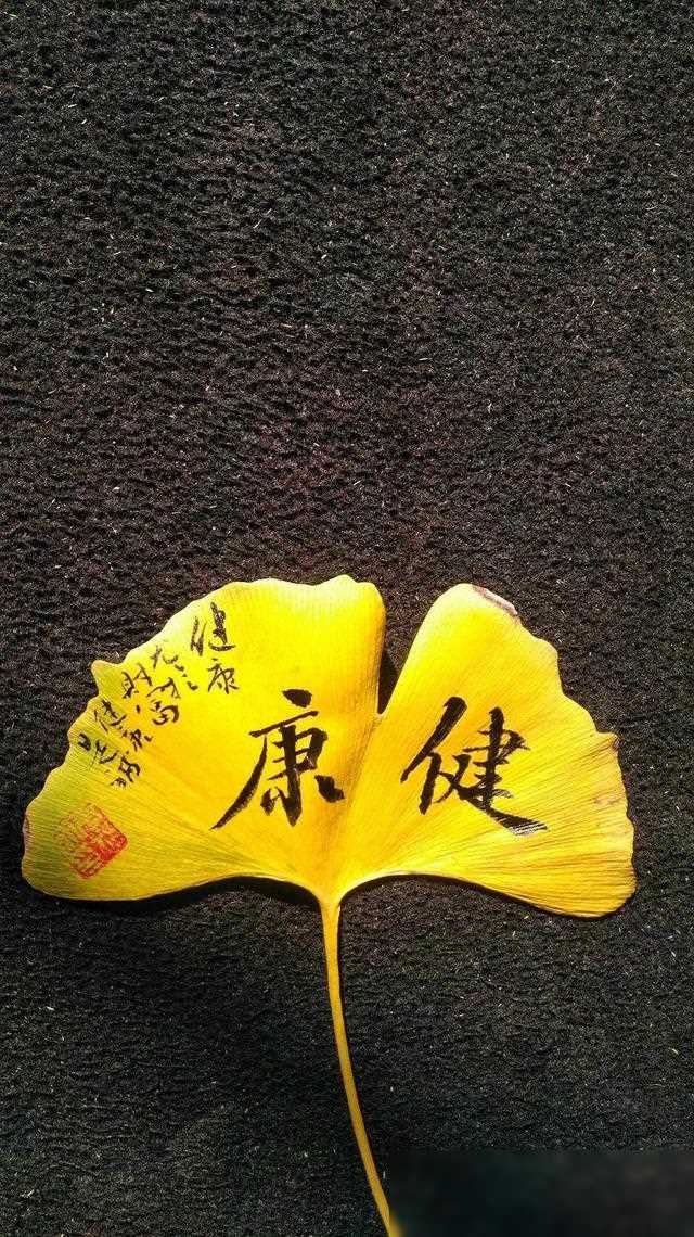 “两套房给儿子，女婿没资格”岳母说完，女婿断掉养老费，送人走