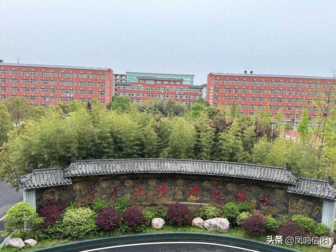平桥区城阳新城高级中学：春和景明,在春天会有新的开始…